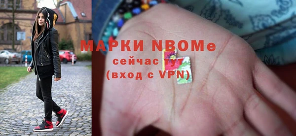 шишки Балахна