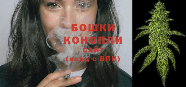 шишки Балахна